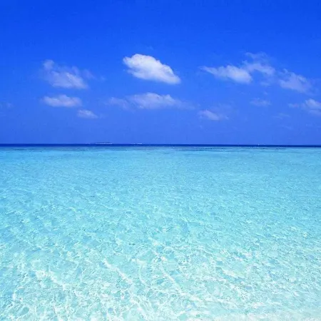 Affittacamere Luxury 3*